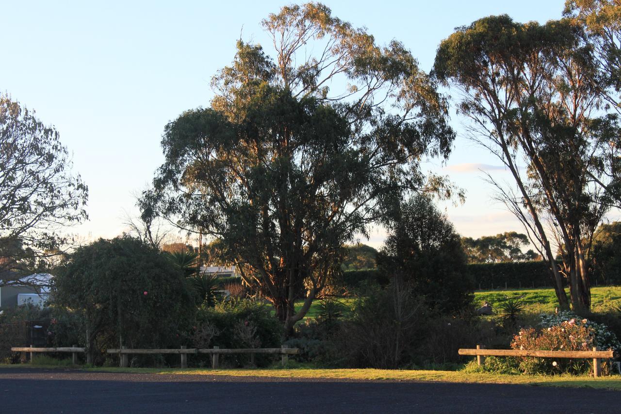 Mt Gambier International Motel Mount Gambier Exterior photo